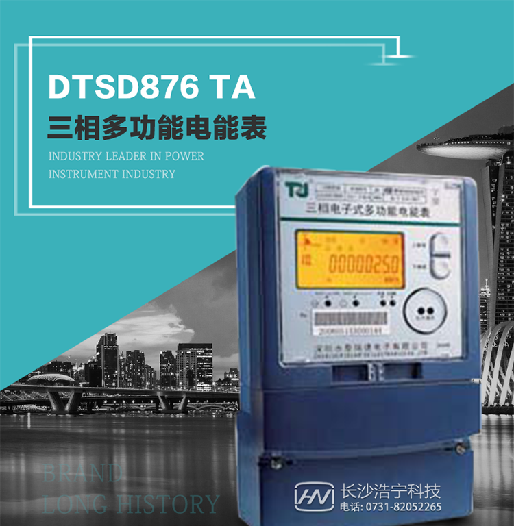 產品型號：DTSD876 TA型三相多功能電能表
精度等級：有功0.5S級 1級；無功2級 
額定電壓： 3×100V 3×57.7/100V 3×220/380V 
額定電流： 1(2)A～30(100)A 
頻 率： -40℃～+70℃ 
工作溫度：≤0.5S 
顯示方式： ≥1000mAh 
整機功耗： ≥10年 
重量： 約2.4kg 
外形尺寸： 293mm×175mm×80mm